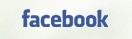 Blive min ven på facebook